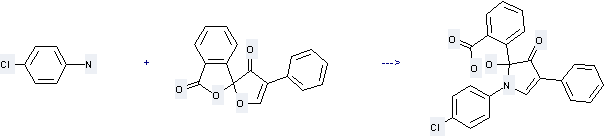 Fluorescamine can be used to produce 5-(2-carboxyphenyl)-1-(4-chlorophenyl)-5-hydroxy-3-phenyl-2-pyrrolin-4-one with 4-chloro-aniline 